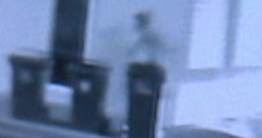 Man seen running for his life after being stabbed in the neck in Adelaide