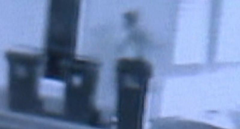 Man seen running for his life after being stabbed in the neck in Adelaide