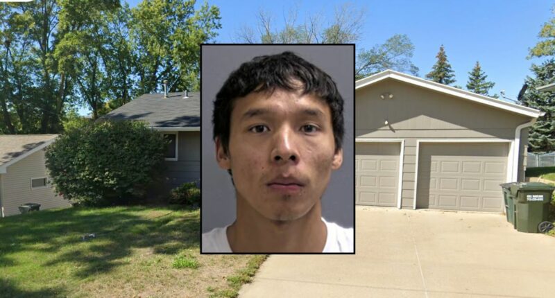 Man walked 20 minutes with a butcher knife in his head