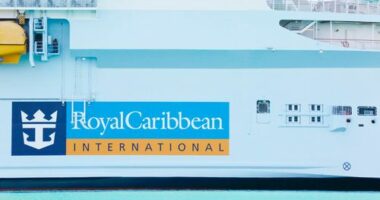 Man who died on US cruise ship served 33 drinks, lawsuit alleges