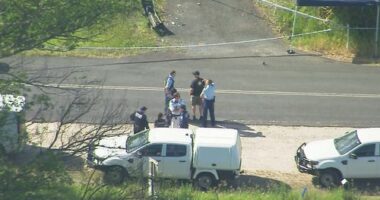 A man has allegedly been shot in Eungella.
