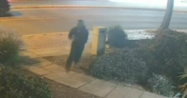 Manhunt for prisoner who escaped from police at hospital