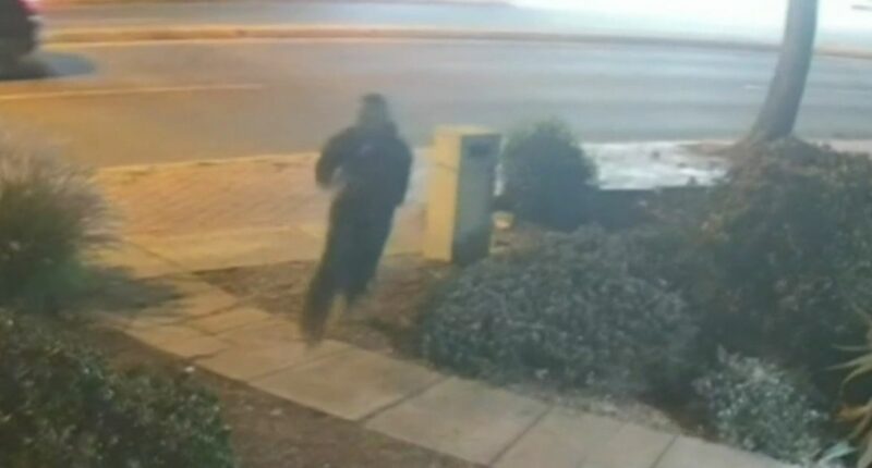 Manhunt for prisoner who escaped from police at hospital