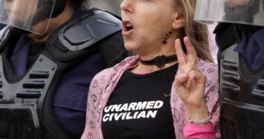 Marjorie Taylor Greene and Code Pink, 'Traitors,' Together