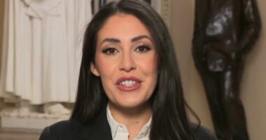 Maverick Republican warns GOP leaders plan to shut down Congress over stock trade ban