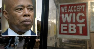 Mayor Adams administration settles court case over delayed NYC SNAP processing