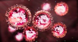 A﻿ measles alert has been issued after returned traveller who was infectious visited multiple places in Sydney.