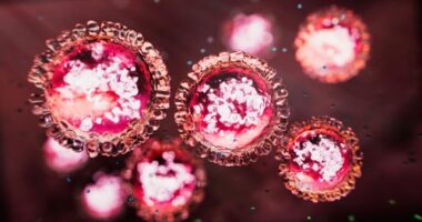 A﻿ measles alert has been issued after returned traveller who was infectious visited multiple places in Sydney.