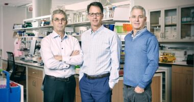 Medline’s Founding Family Has $6 Billion-Plus Stake In Its Upcoming Blockbuster IPO