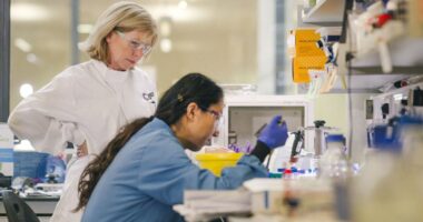 Meet the pioneering scientists working to 'cure cancer' in new Channel 4 show