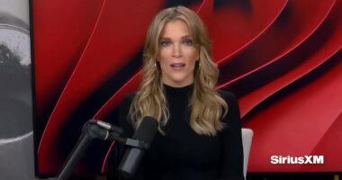 Megyn Kelly says Rob Reiner should have stopped son Nick's drug woes