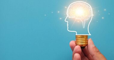 Memory and brain function improved by eating one common snack