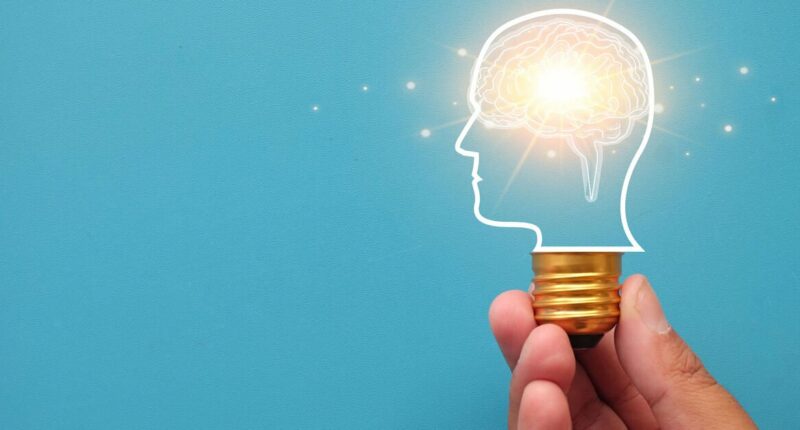 Memory and brain function improved by eating one common snack