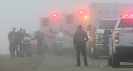 Mexican Navy plane crashes off Texas coast, killing five; two rescued