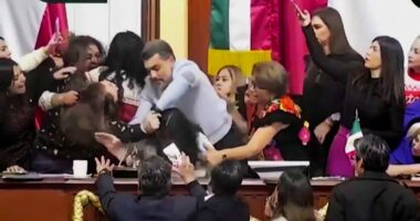 Mexican lawmakers filmed pulling hair and shoving each other during heated Congress floor debate