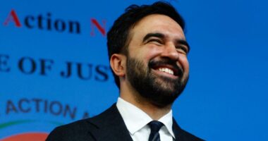 Michael Goodwin: Mamdani's senseless plan to end homeless camp sweeps has no real solution in sight