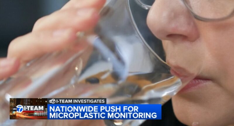 Microplastics found in brains, bloodstreams: ABC7 I-Team investigates plastic contamination, efforts to measure risks in Chicago