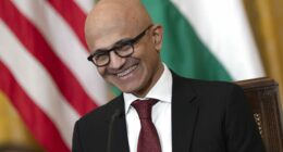 Microsoft to invest $17.5 billion in India's AI infra as Big Tech queues up