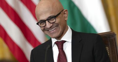 Microsoft to invest $17.5 billion in India's AI infra as Big Tech queues up