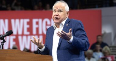 Minnesota's new Medicaid fraud prevention fix won't make 'any difference,' former FBI agent says