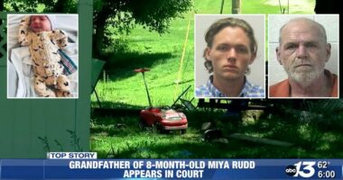 Missing baby found decomposing in a duffel bag in home: Cops