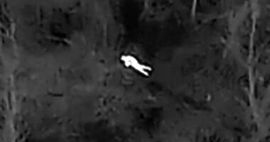 Missing elderly person found in bitter cold woods after police deploy thermal imaging drone