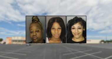 Mom brought her infant to a mall parking lot brawl: Cops