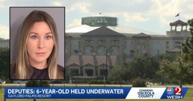 Mom on family vacation 'forcibly dunked' someone else's 6-year-old into resort pool after the boy did the same to her son, police say