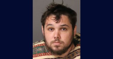 Mom stabbed stepmother to death, injured dad in rage attack