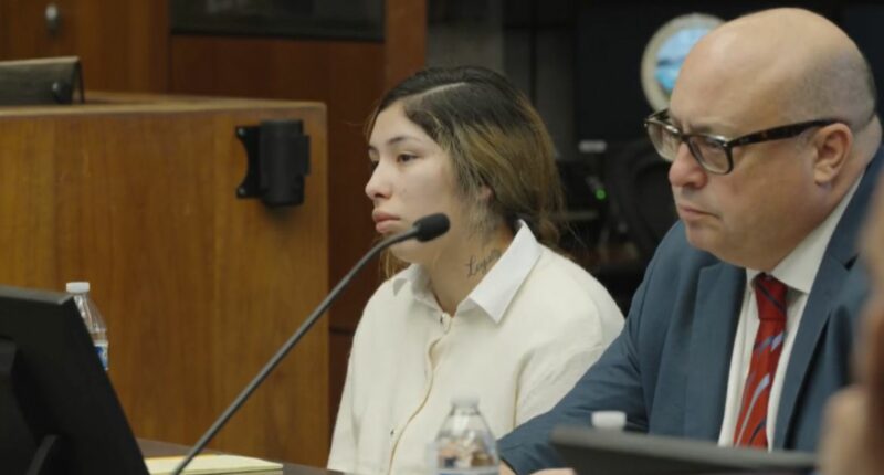 Mom who allegedly left baby in hot car got BBL: Witness