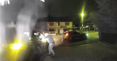 Moment arsonists torch car before mother and son, 10, forced to flee