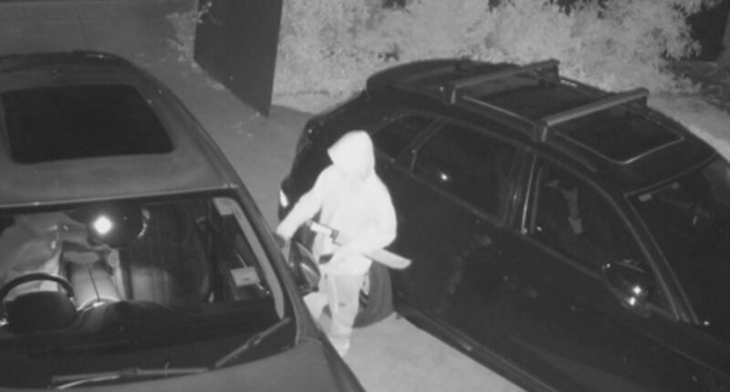 More than 33,000 cars stolen in 12 months, as Victorian crime continues to rise