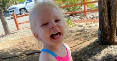 Mother's searches are unearthed after her daughter, 5, died