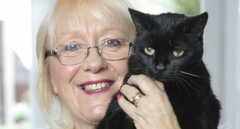 My rabbit and I have the same back problem... and we're not the only ones: Our experts reveal the surprising rise in humans with the same health conditions as their pets - this is what you have to watch out for