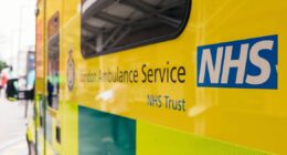 NHS UK-wide 'stay at home' H3N2 update as cases of mutated virus strain rise