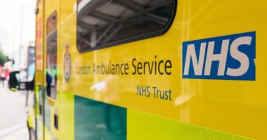 NHS UK-wide 'stay at home' H3N2 update as cases of mutated virus strain rise