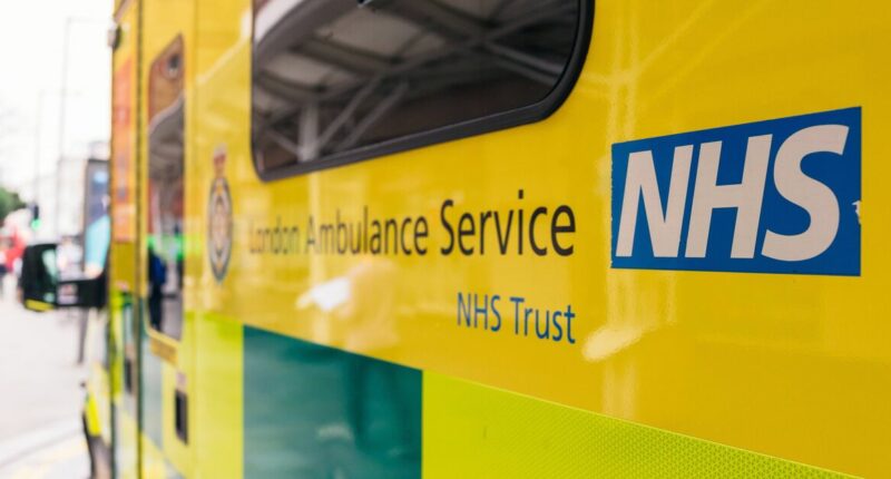 NHS UK-wide 'stay at home' H3N2 update as cases of mutated virus strain rise