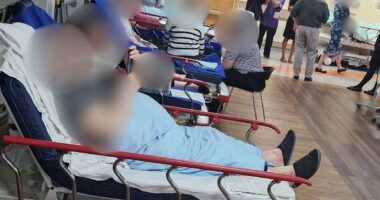 NHS emergency care crisis laid bare: 2025 set to be worst year on record damning figures show, as Labour is accused of being in 'total denial'