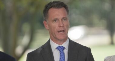 NSW Premier doubles down on gun reforms, says more changes are imminent