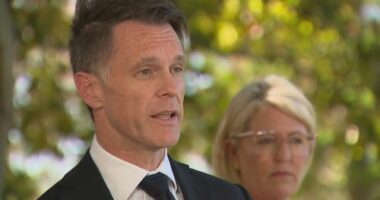 NSW Parliament is expected to pass the harshest gun reforms in the country today in the wake of the terrorist attack at Bondi Beach