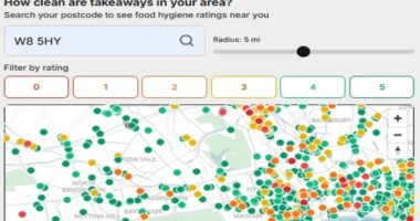 Named and shamed, Britain's filthiest takeaways: Staggering one in 17 fail food hygiene ratings, analysis shows... so is YOUR favourite one of them?
