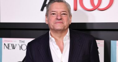 Netflix CEO made a visit to the White House before buying Warner Bros.