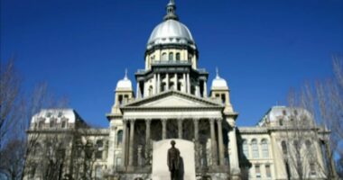 New 2026 Illinois laws address squatters, immigration status in schools, gun possession, opioid overdose reporting, K-9 retirement