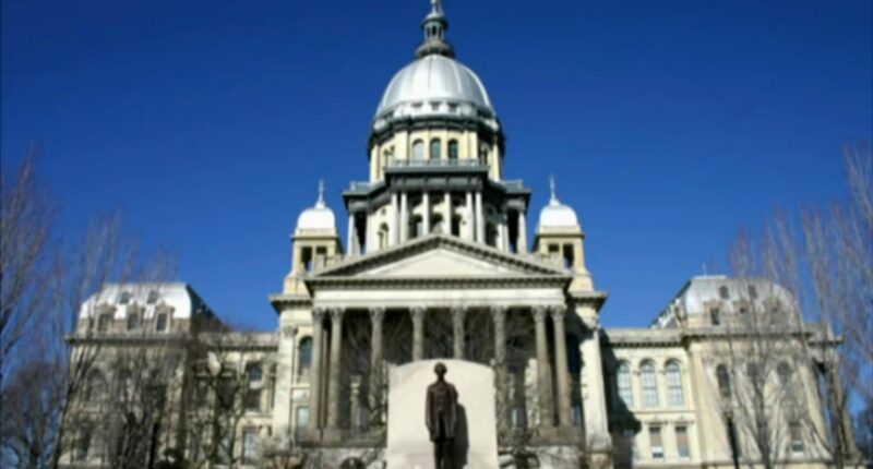 New 2026 Illinois laws address squatters, immigration status in schools, gun possession, opioid overdose reporting, K-9 retirement