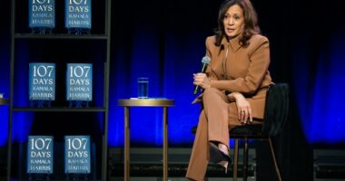 New Kamala Interviews—Including Comments on Epstein Files—Show Why She Should Not Be a 2028 Candidate