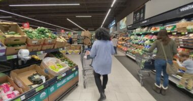 New SNAP work requirements in Florida draw ire and praise