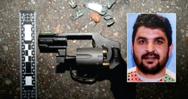 New charges against DC National Guard shooting suspect open death penalty door