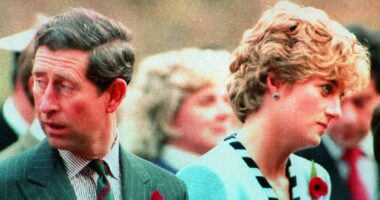 New files: 'Predatory' Diana's PRs accused of plots to upstage Charles