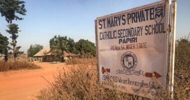Nigeria secures release of 100 schoolchildren abducted from Catholic school after weeks in captivity