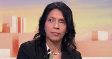 Oxfam chief criticised government for arming Ukraine and 'tried to rewrite charity's position on Gaza' before being ousted from £130k-a-year job amid 'bullying' claims